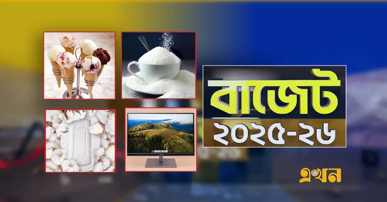 বাজেটে দাম কমতে পারে যেসব পণ্যের